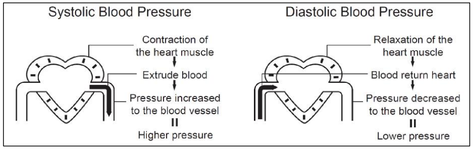 Orbegozo-TES-3650-Blood-Pressure-Monitor-fig 31
